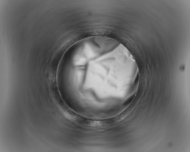 X0000090880091200708171654