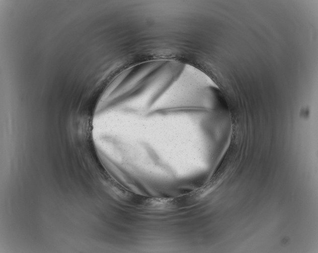 X0000090880093200708171654