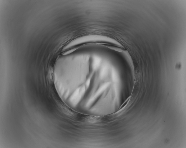 X0000090880094200708171654