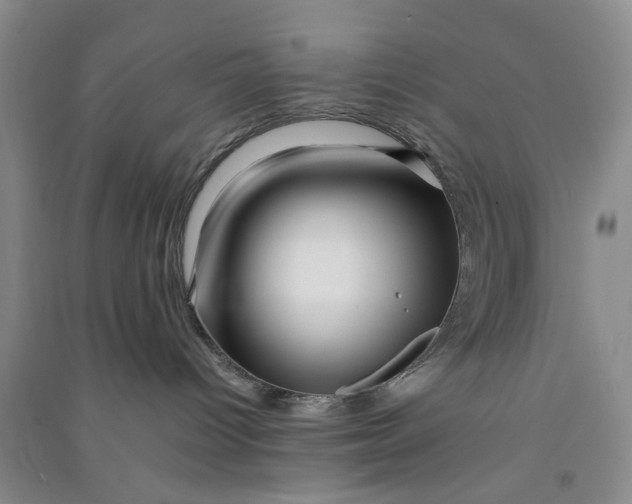 X0000090880096200708171654