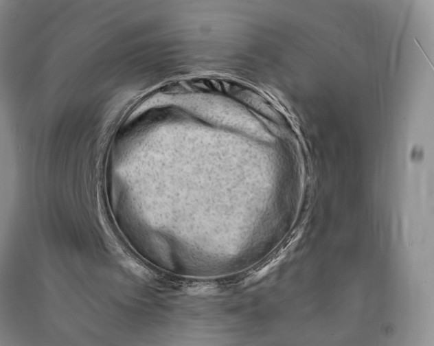 X0000090880097200708171653