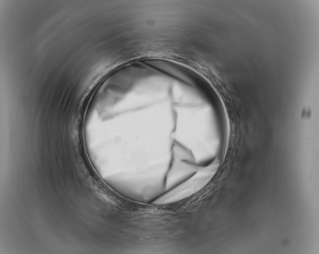 X0000090880098200708171653