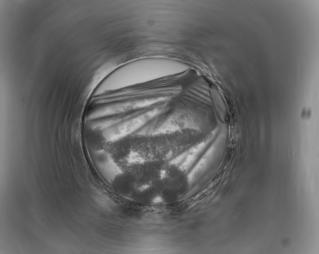 X0000090880099200708171653