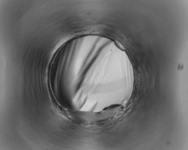 X0000090880100200708171653