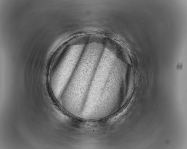 X0000090880101200708171653