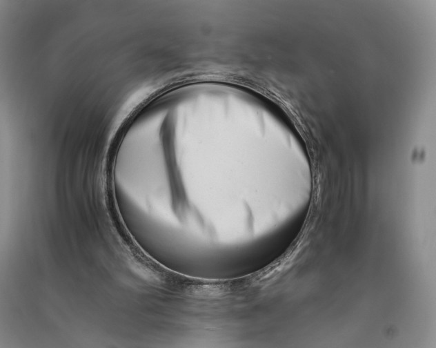 X0000090880102200708171653