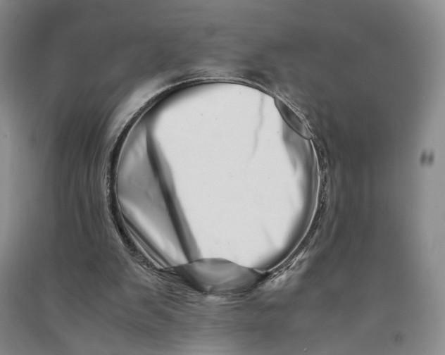 X0000090880103200708171653