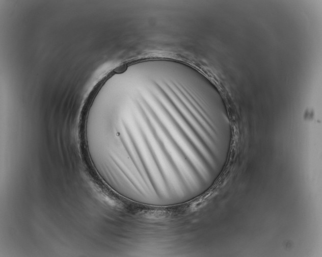 X0000090880104200708171653