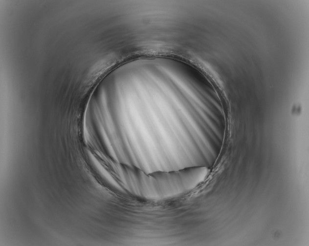 X0000090880105200708171653