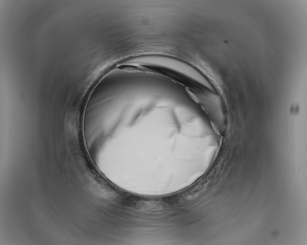 X0000090880107200708171653