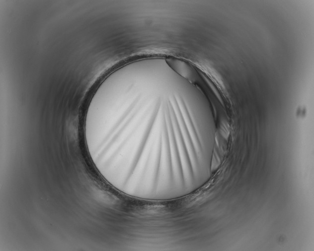 X0000090880108200708171653