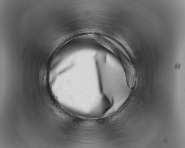 X0000090880110200708171653