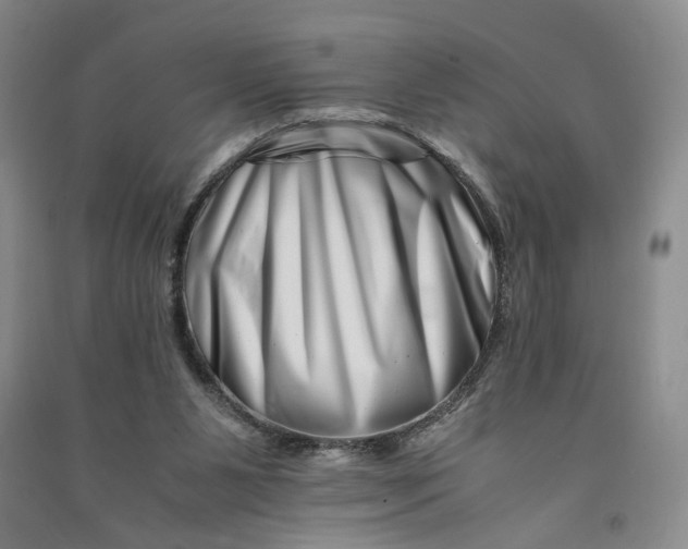 X0000090880111200708171653