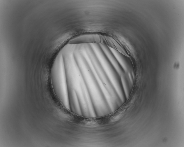 X0000090880113200708171653