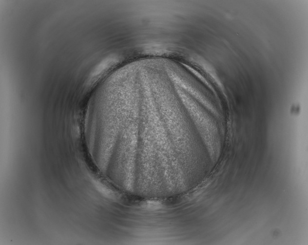 X0000090880114200708171653