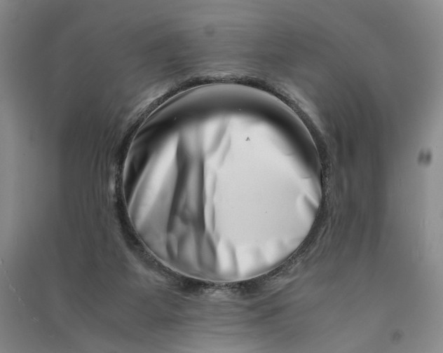 X0000090880115200708171653