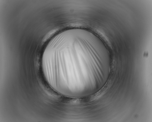 X0000090880116200708171653