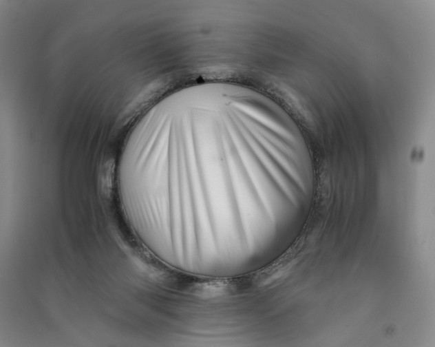 X0000090880118200708171653