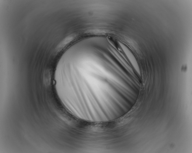 X0000090880120200708171653