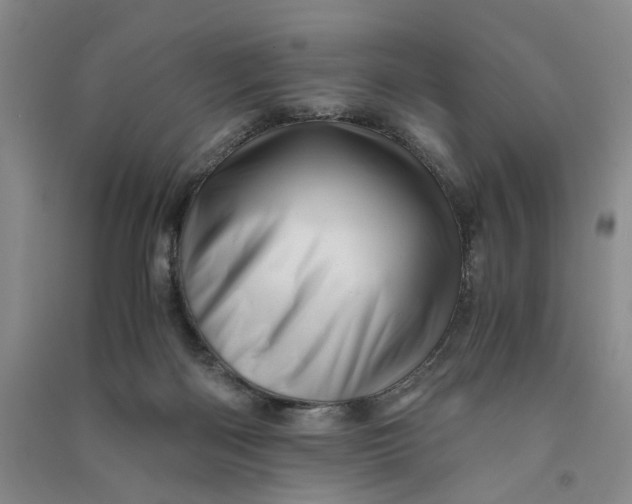 X0000090880122200708171653