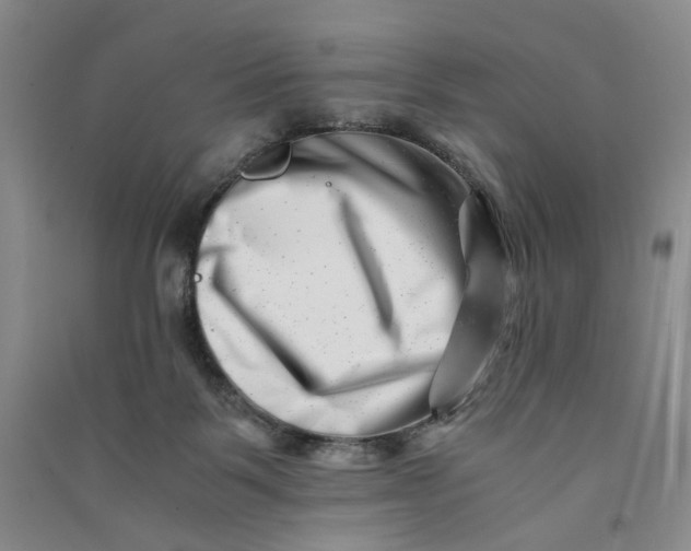 X0000090880123200708171653