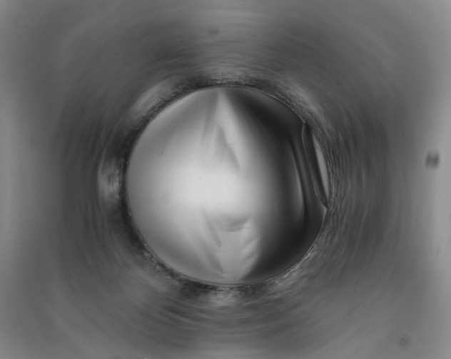 X0000090880124200708171653