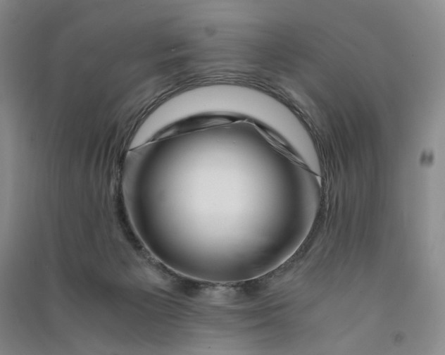 X0000090880125200708171653