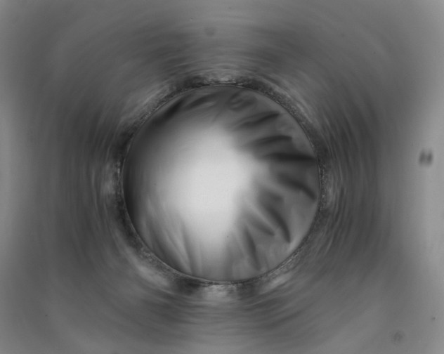 X0000090880126200708171653