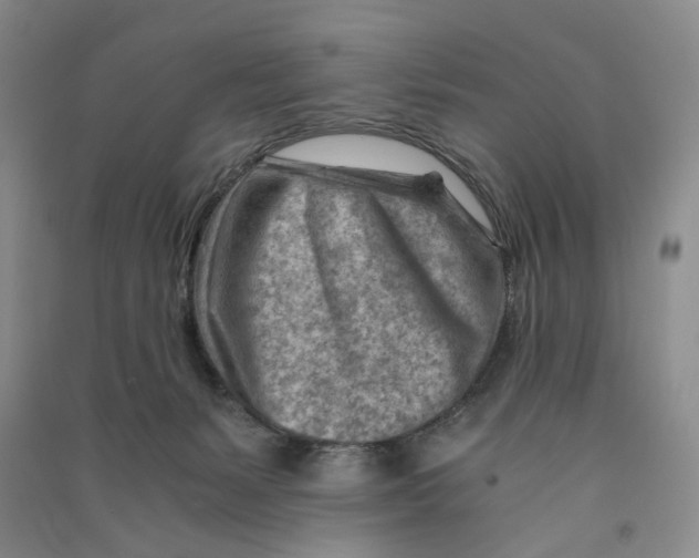 X0000090880127200708171653