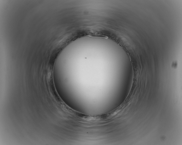 X0000090880129200708171653