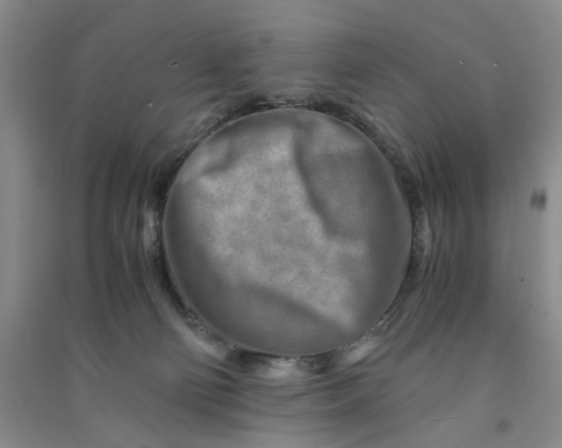 X0000090880130200708171653