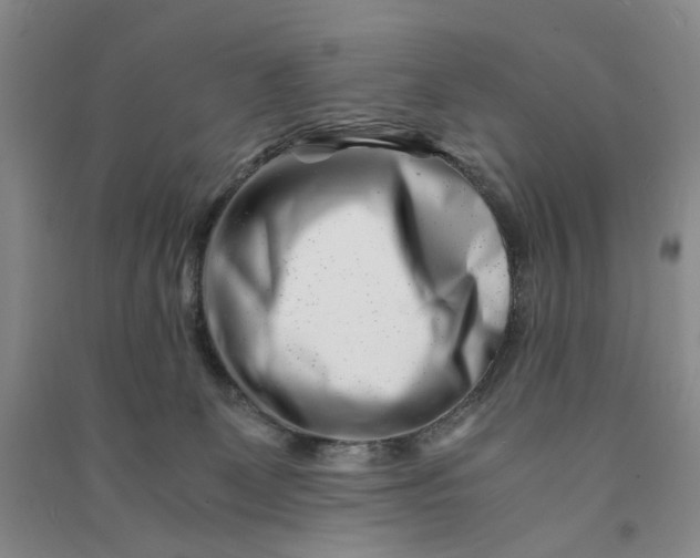 X0000090880131200708171653