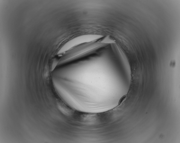 X0000090880132200708171653