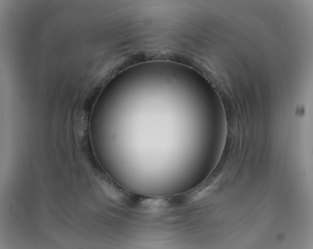 X0000090880133200708171653