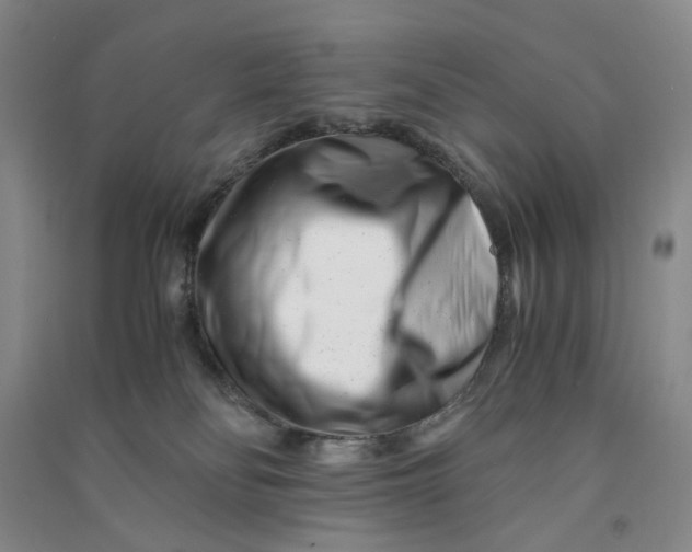 X0000090880134200708171653