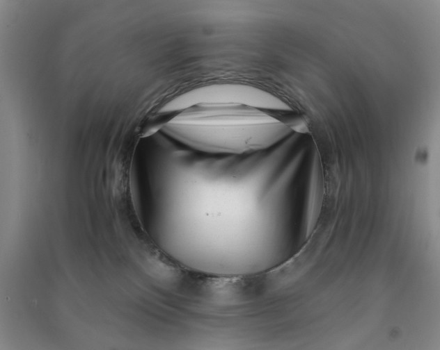 X0000090880136200708171653