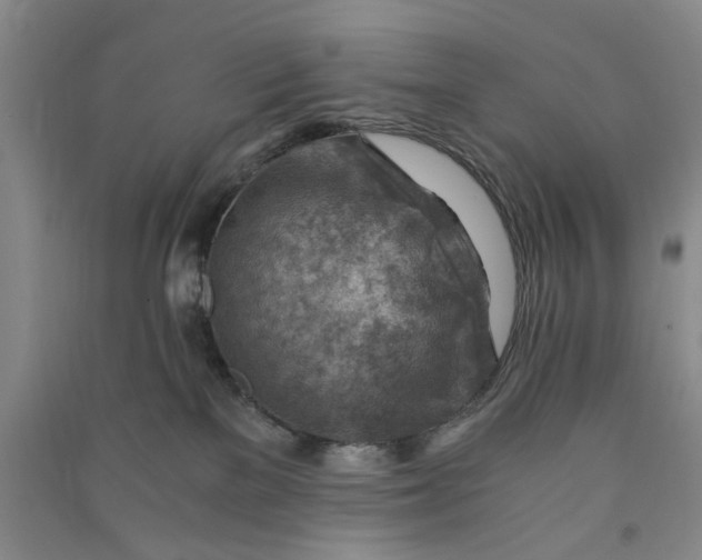 X0000090880137200708171653