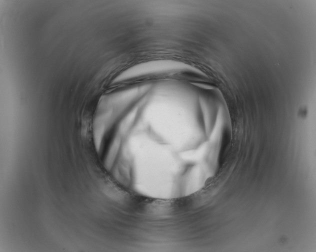 X0000090880138200708171653