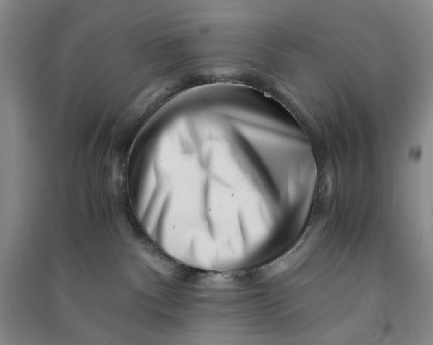 X0000090880140200708171653