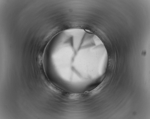 X0000090880142200708171653