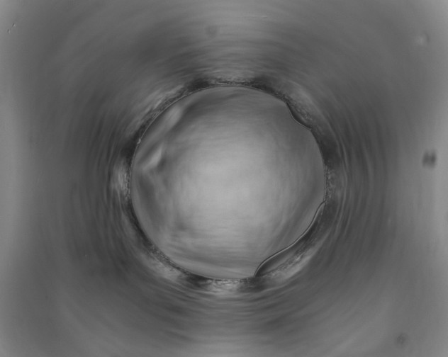 X0000090880143200708171653