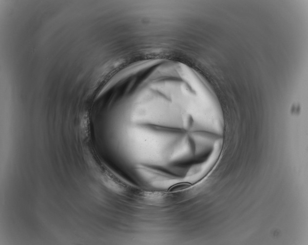 X0000090880144200708171653