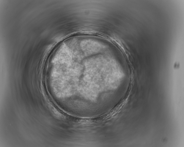 X0000090880145200708171652