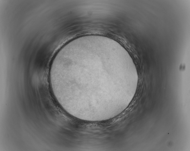 X0000090880146200708171652