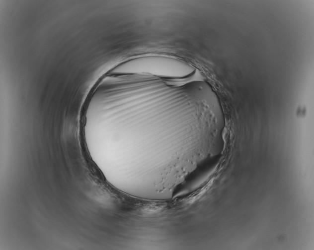 X0000090880148200708171652