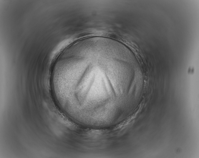 X0000090880149200708171652