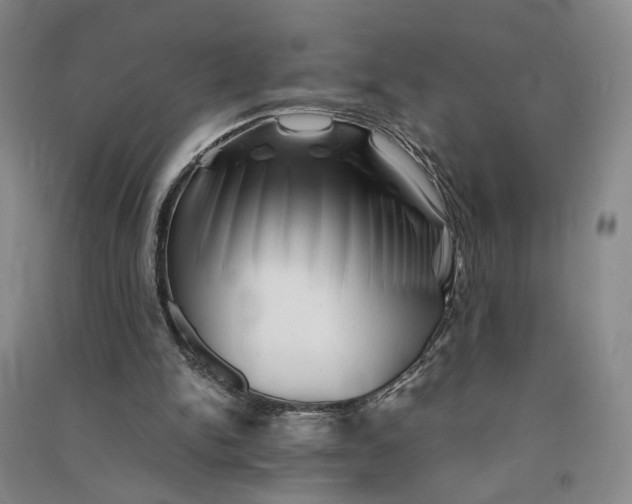 X0000090880150200708171652