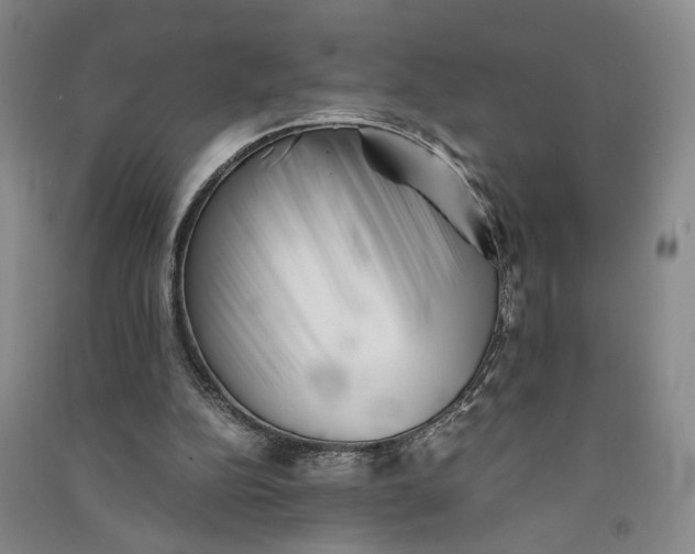 X0000090880152200708171652