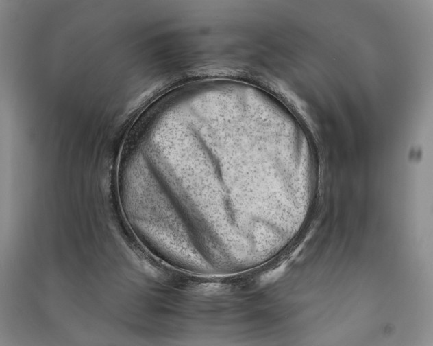 X0000090880153200708171652