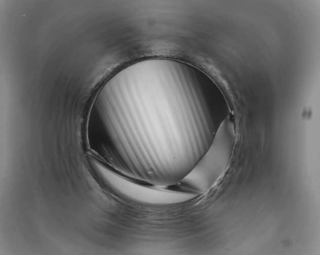 X0000090880154200708171652